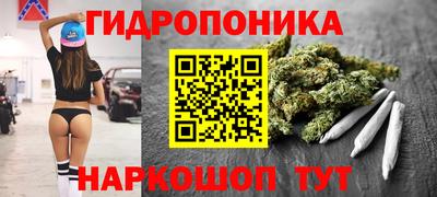 стаф Заволжье